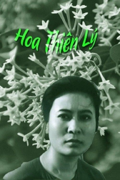 Hoa Thiên Lý