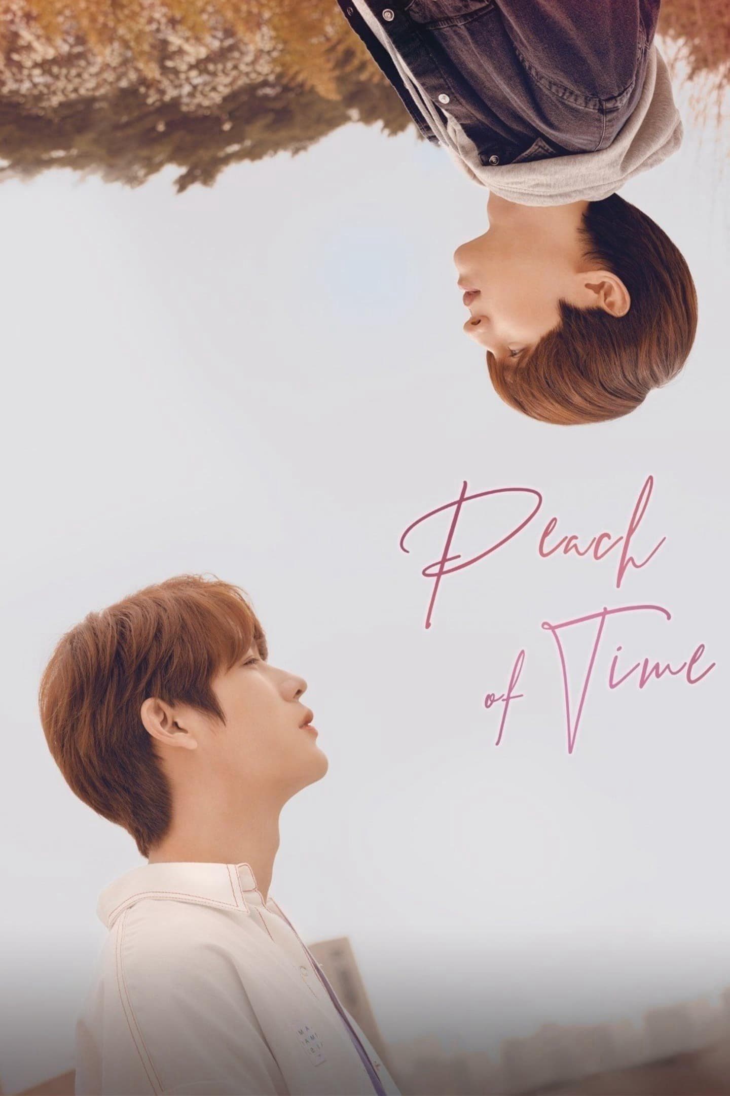 정애연