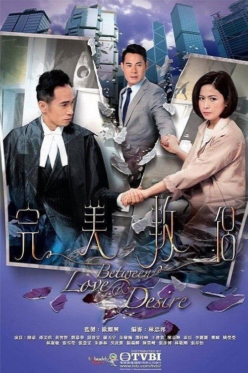 邵美琪