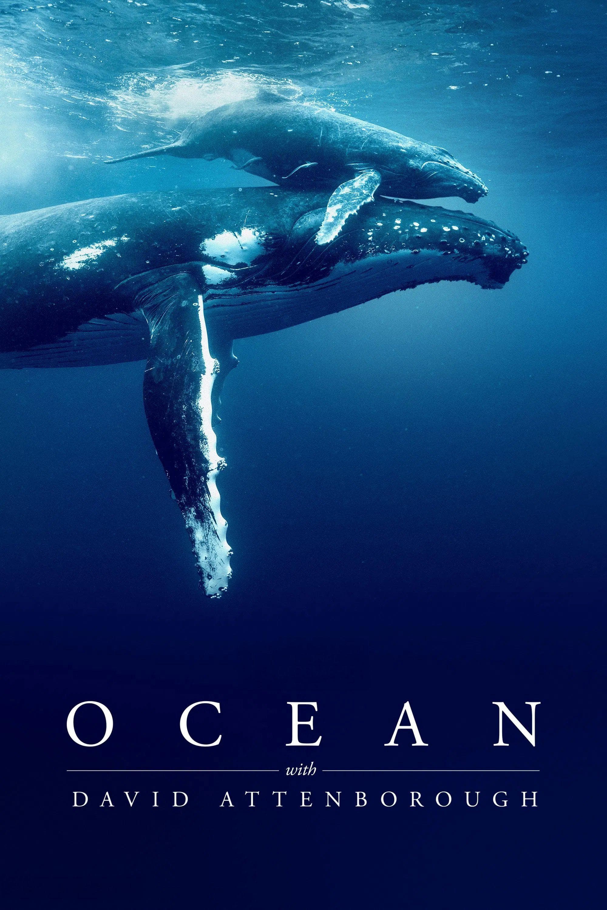 Ocean with David Attenborough